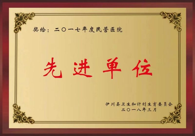 2017先进单位